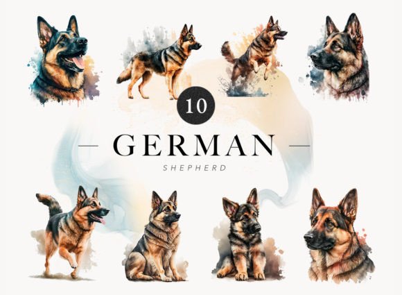 10 German Shepard Watercolor Clip Art Illustrations