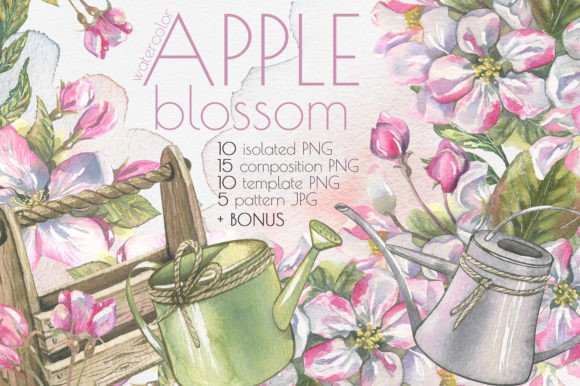 Apple Blossom Clip Art Watercolor Illustrations