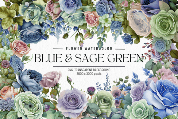 Blue Sage Green Flowers Watercolor Illustrations Review