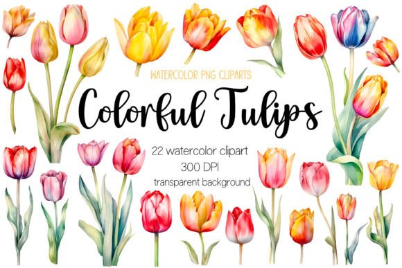 Colorful Watercolor Tulip Clipart Bundle Review