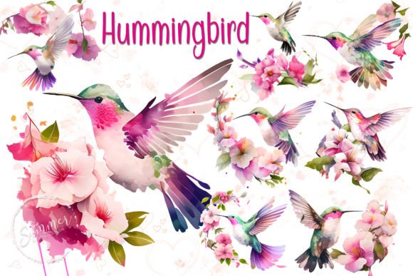 Cute Hummingbird Watercolor Clipart for Illustrations