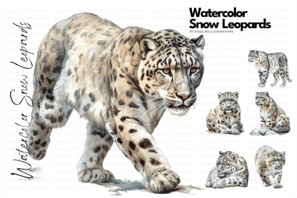 Endangered Watercolor Snow Leopard Set: Illustrations Review
