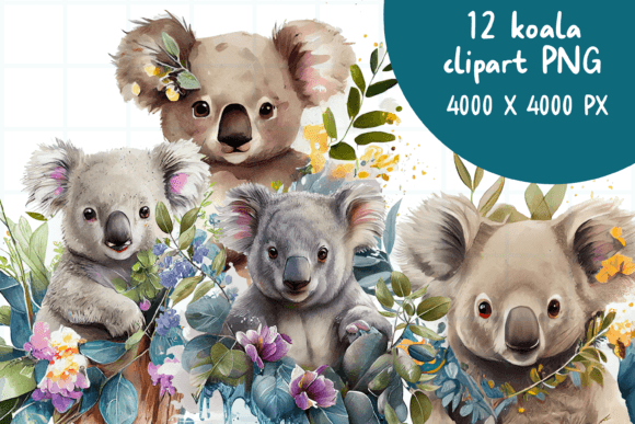 Koala Watercolor Illustrations for Branding