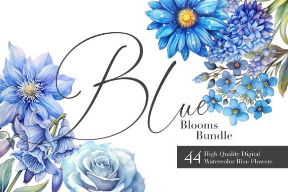 Serene Blooms Illustrations: A Brand Design Review