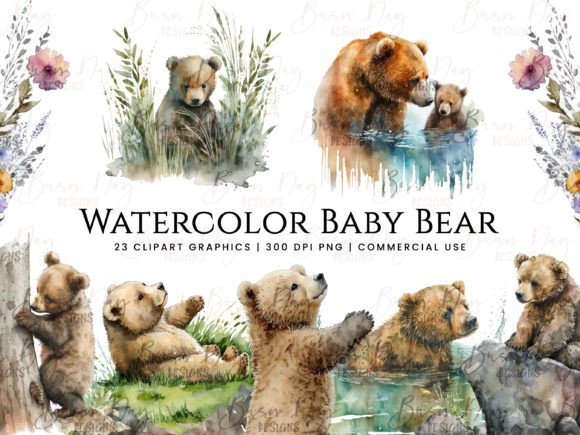 Watercolor Baby Bear Clipart Bundle: Illustrations Review