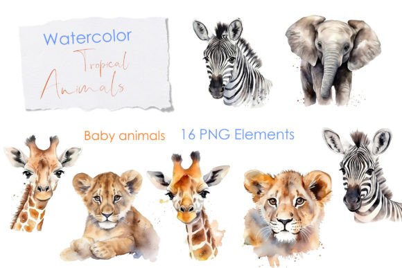 Watercolor Baby Wild Animals Illustrations Review