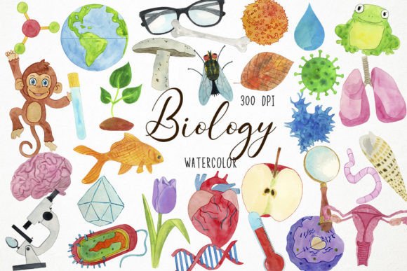 Watercolor Biology Clipart: Editorial Illustrations Review