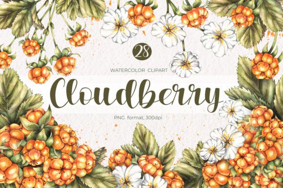 Watercolor Cloudberry Clipart PNG in Illustrations