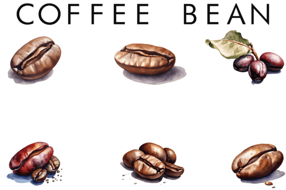 Watercolor Coffee Bean Sublimation Illustrations Review