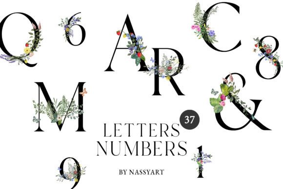Watercolor Floral Alphabet Numbers: Illustrations for Branding