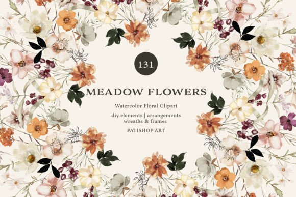 Watercolor Meadow Flowers Collection Illustrations Review