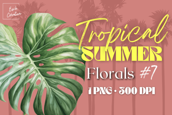 Watercolor Monstera Leaf Tropical Summer Illustrations